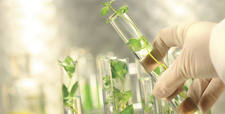 Badania molekularno-biologiczne